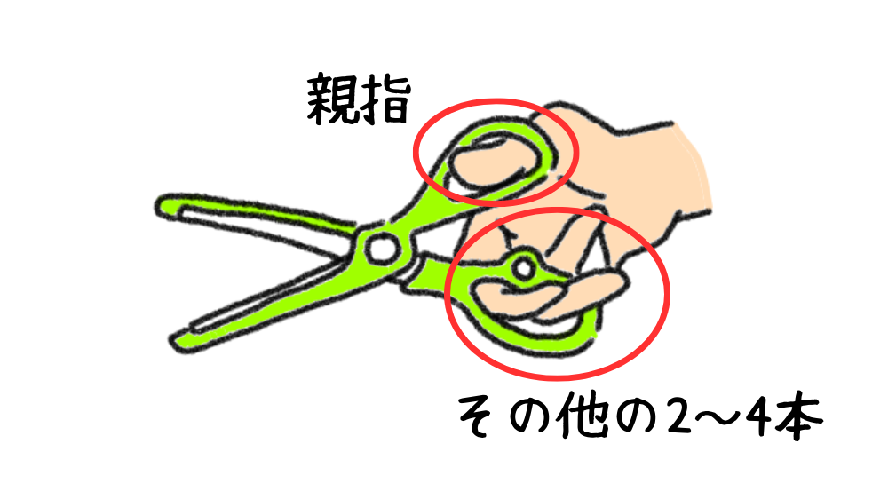 こどものはさみ、教え方!練習はどうしたらいい?おすすめ教材3選 - たけのこブログ